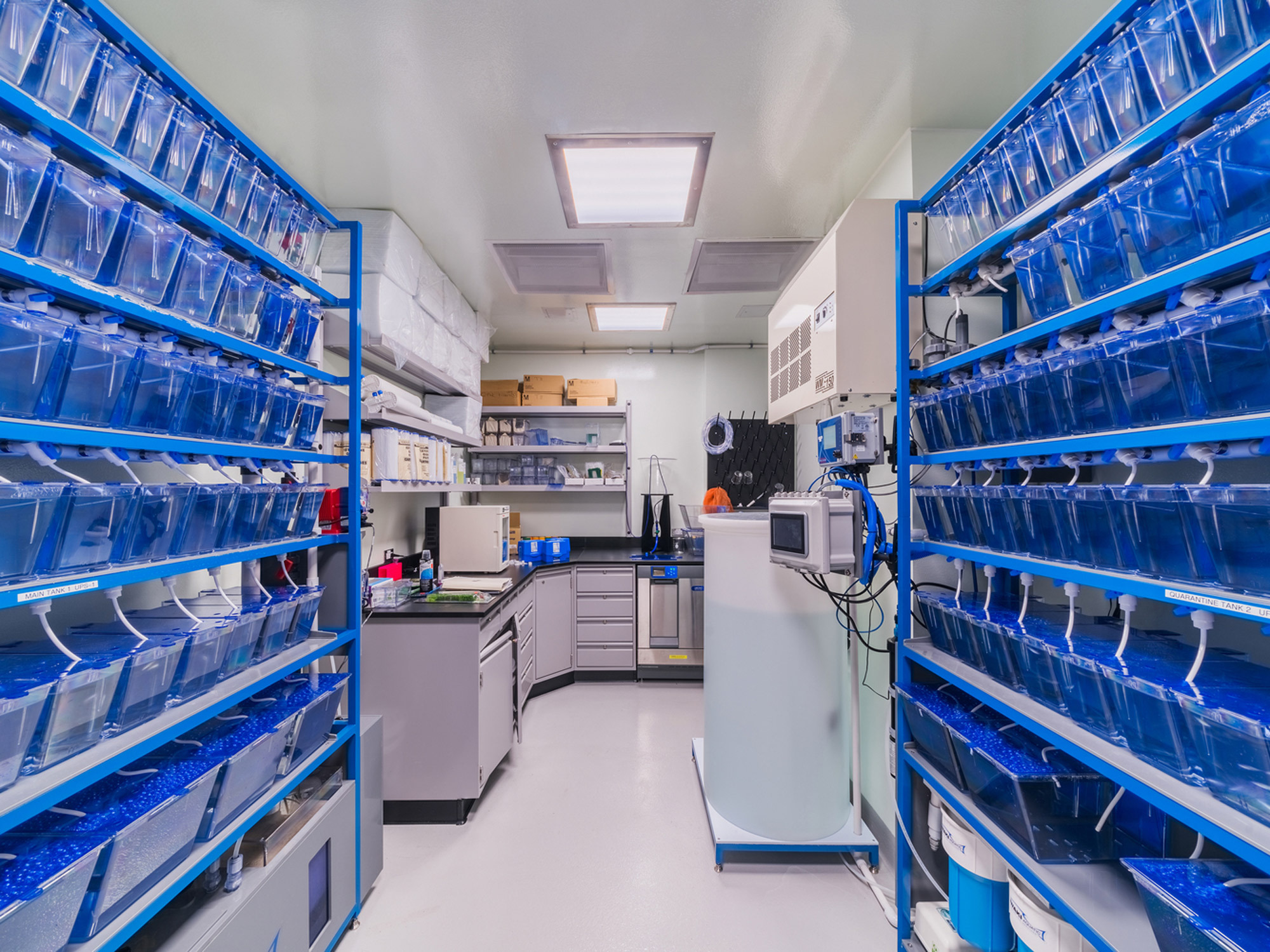 A meticulously organized laboratory interior with vibrant blue storage bins on steel shelving units, durable epoxy resin countertops, and state-of-the-art equipment ensuring a sterile and efficient research environment.